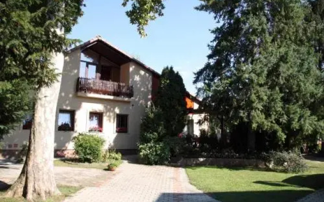 Aba Wellness House