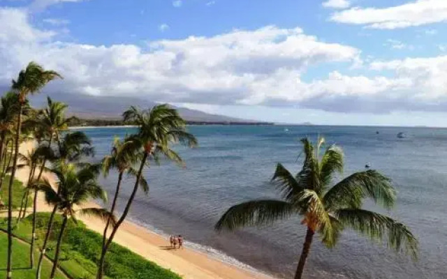 Sugar Beach 618 - 1 Br Condo