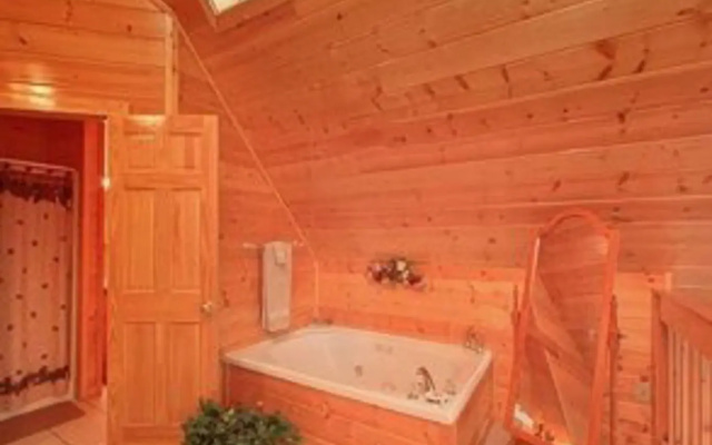Knotty Pine Delight
