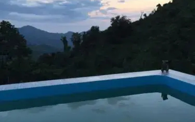 Finca San Rafael - Cafe y Cacao