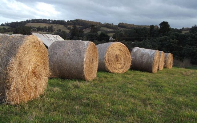 Eden Orchard & Farmstay