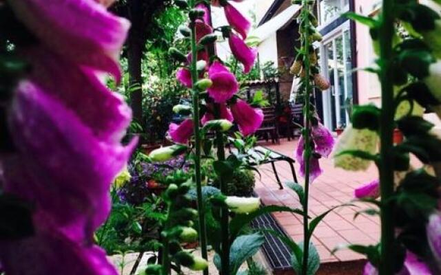 Bed and Breakfast Villa Franca