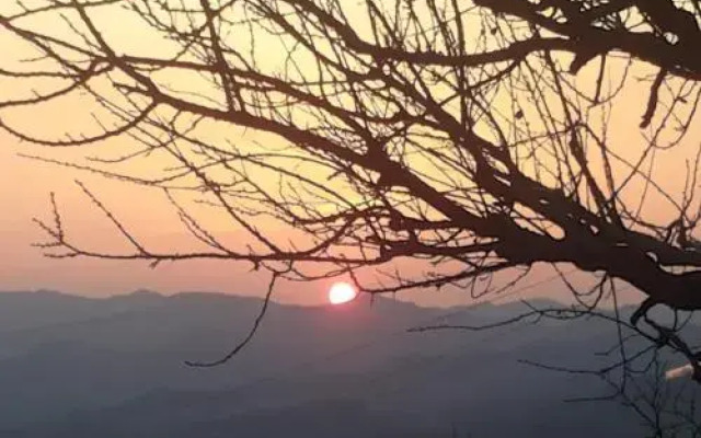 Fra Bosco e Cielo B&B