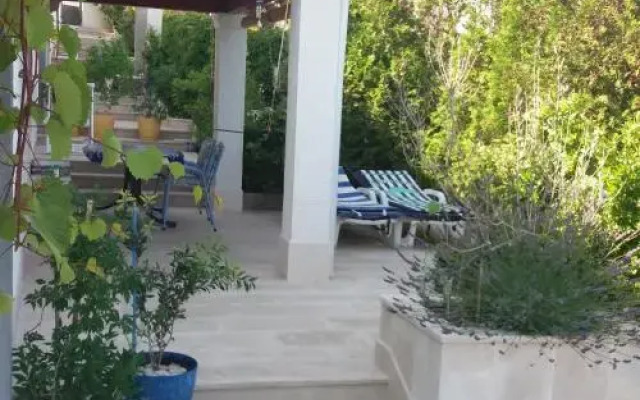 Apartments Lux