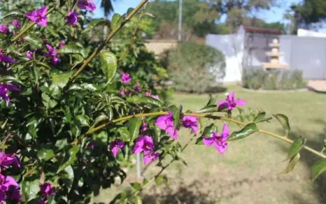 Villas Cristina