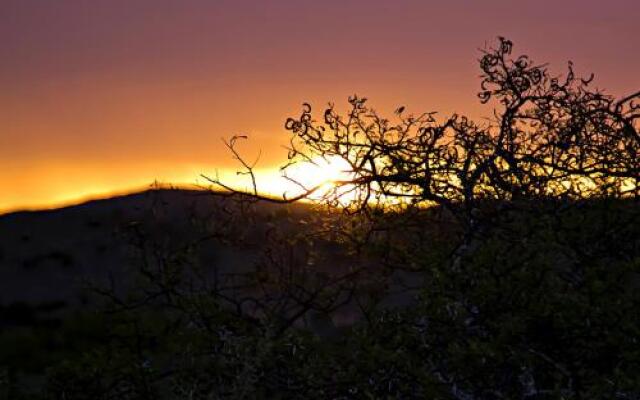 Addo Palace Bush Huts