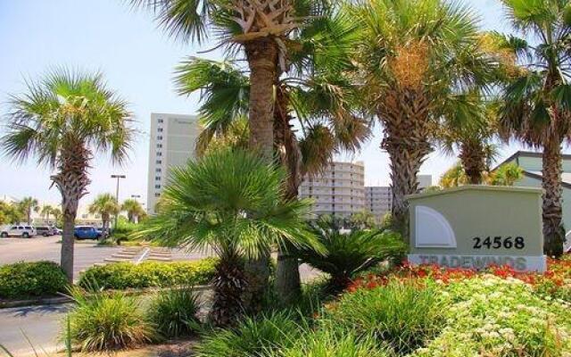 TradeWinds 601 by RedAwning