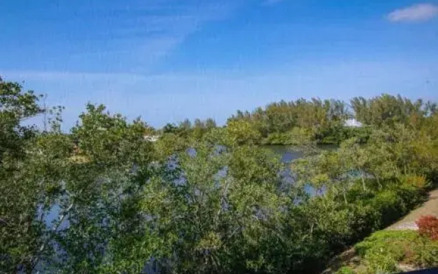Lake Palms