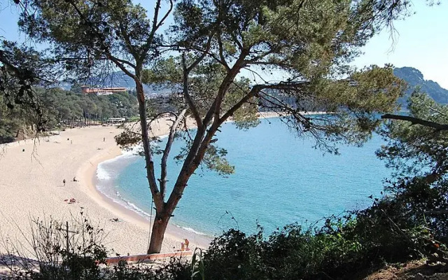 "Apt. Ona" - INH 27240