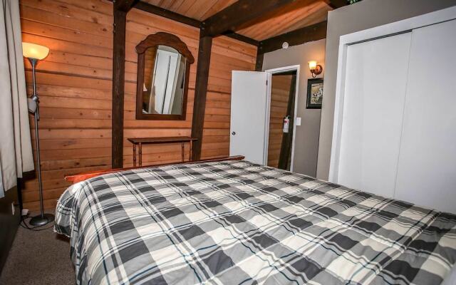 1628 - Coyote Den by RedAwning