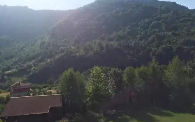 Villa Pajo