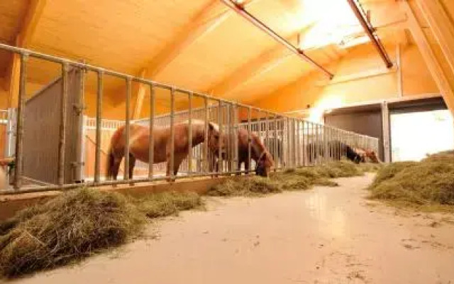 Bodenhof Ferienwohnungen