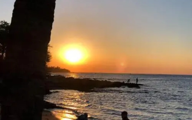 Mauna Loa Shores