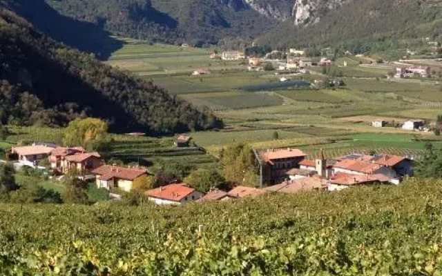 B&B Nel Verde