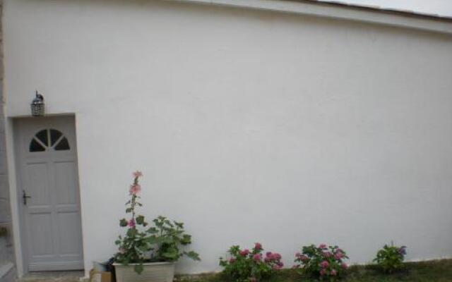 La Vigne Près De Saint Emilion