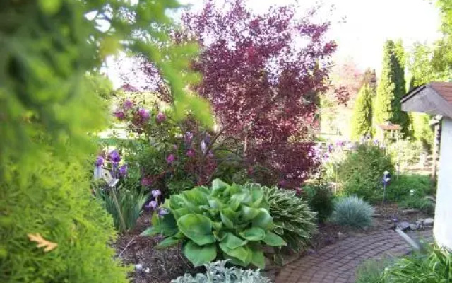 Bavarian Orchard Motel