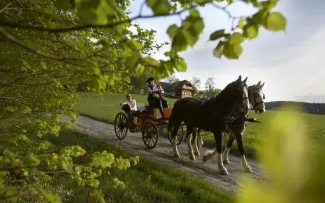 Ferienhaus Friedrich - Honigmond im Troadkast´n