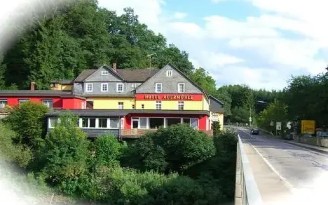 Hotel Auermühle