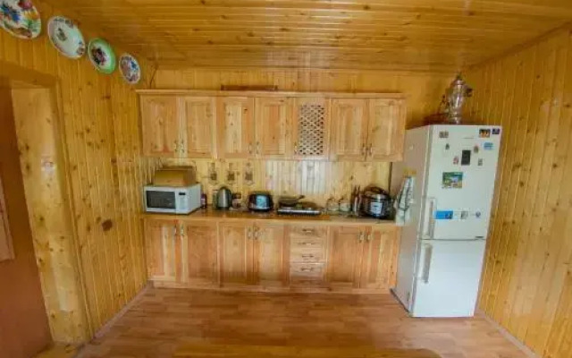Guest House Suzirya Karpat
