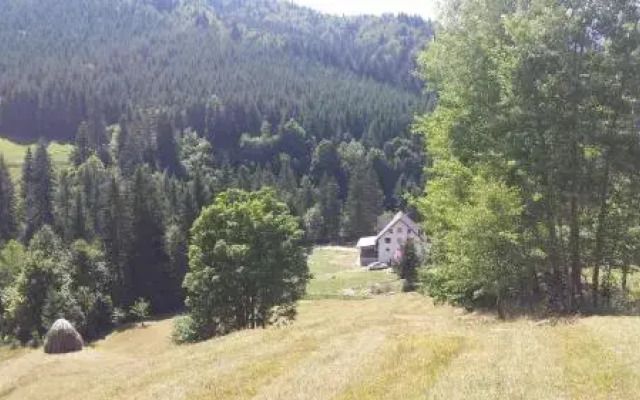 BUKOVINA