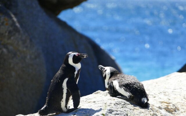 Thyme on Forest Drive