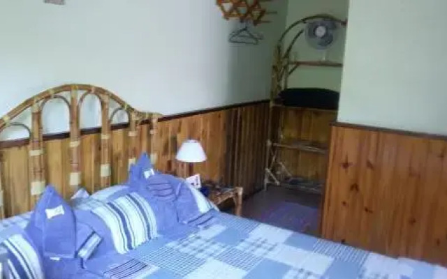 Chales Joia Rara Dos Gnomos