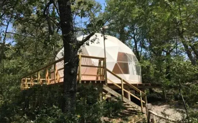 Domos Treepod