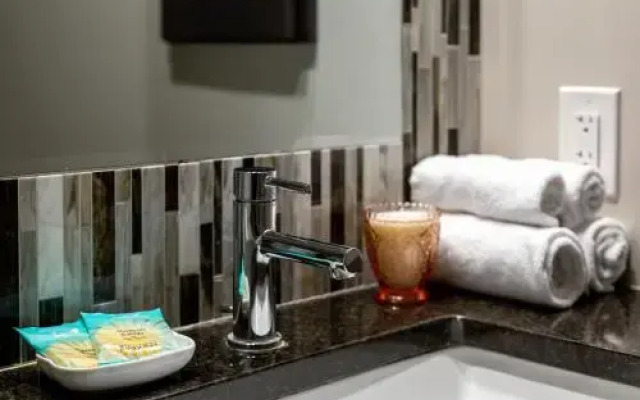 Stay Alfred at The Garfield