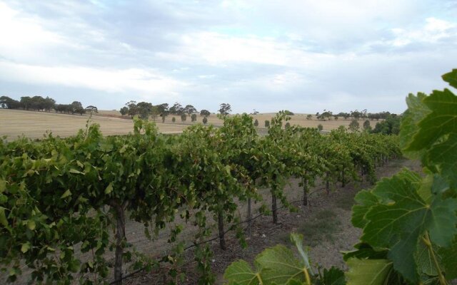 Auburn Vineyard Retreat