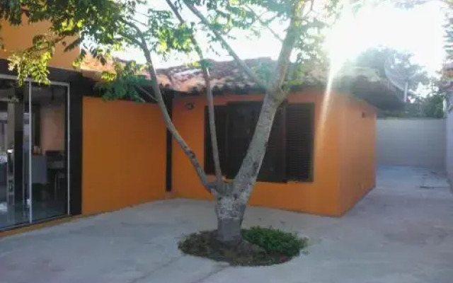Casa da Árvore II