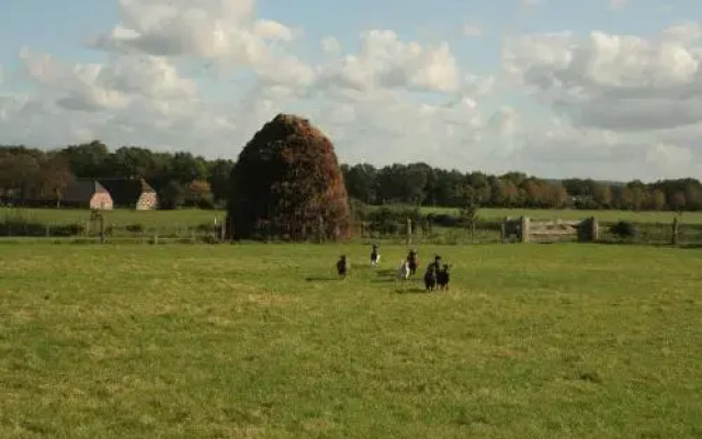 BuitenOosten