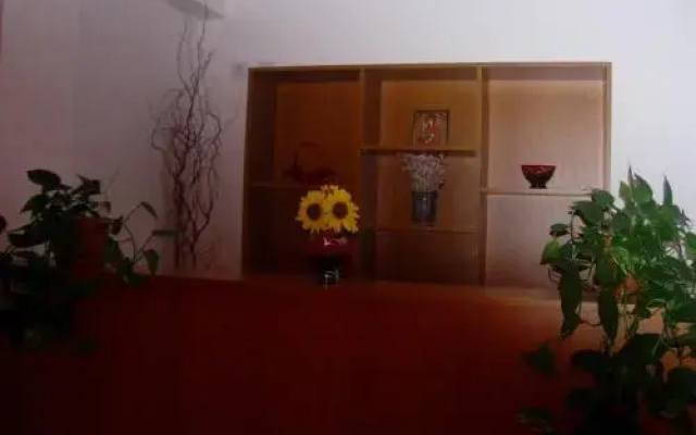 Vila Sophia Costinesti