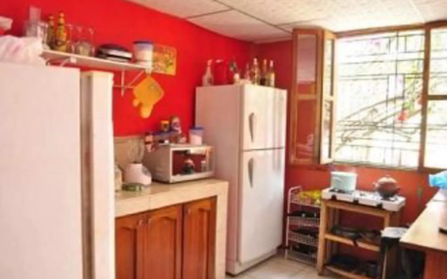Funky Monkey Hostel