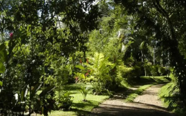 Pilana Villa