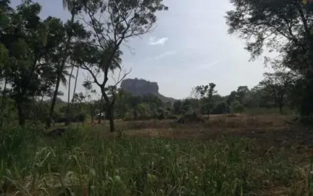 Oshani Homestay Sigiriya