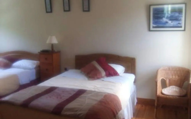 Elderberry B&B
