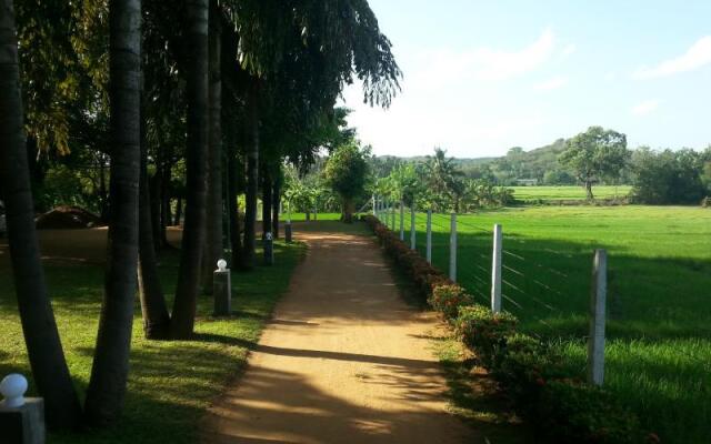 Triangle Holiday Inn