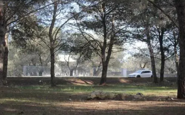 Giorgia Holiday homes