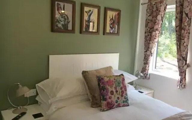 Birch Lodge 19 with Hot Tub