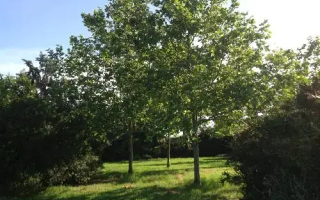 Agriturismo La Fattoria Del Mortelliccio