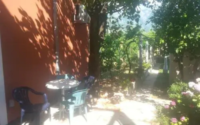 Apartments Rustica