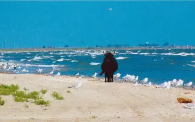 Pensiunea Turistica Visconti