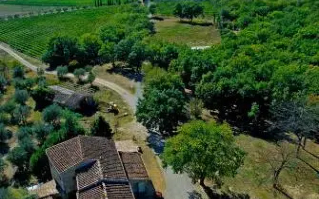 Fattoria Conio
