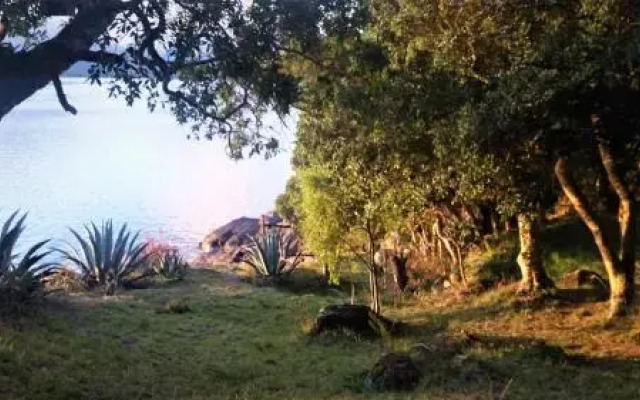 Cabañas Llifenativo