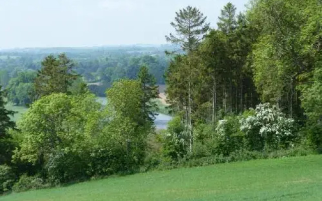 Clint Lodge