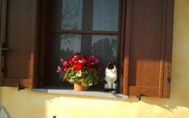 Agriturismo Il Sesto Senso