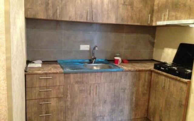 17 E. Cherqezishvili Flat