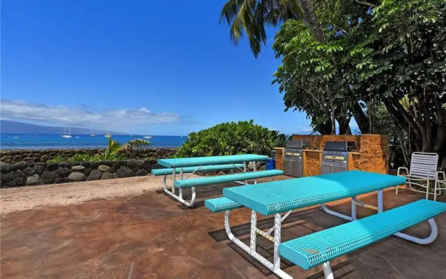 Lahaina Roads #204