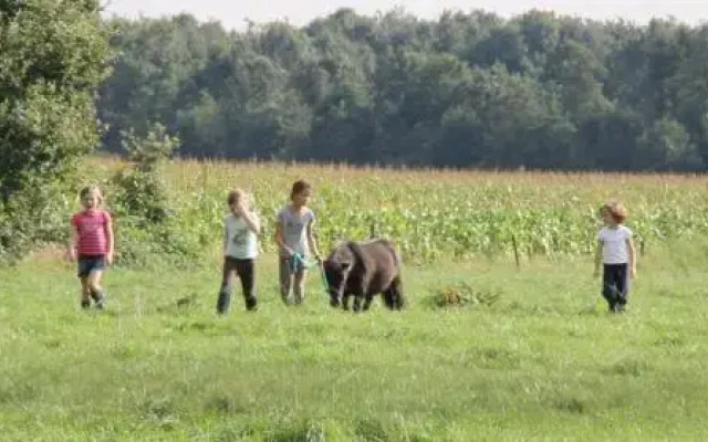 BoerenBed De Lange Weide