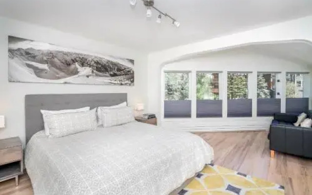 Telluride Ski Resort CO - Viking Lodge Condos
